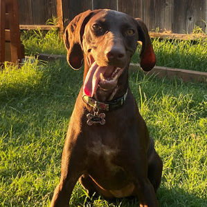 Meet your Posher, Melanie